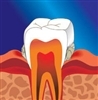 Кашинская стоматологическая поликлиника